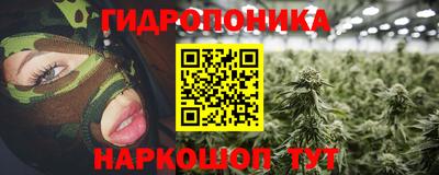 прущие грибы Дубна