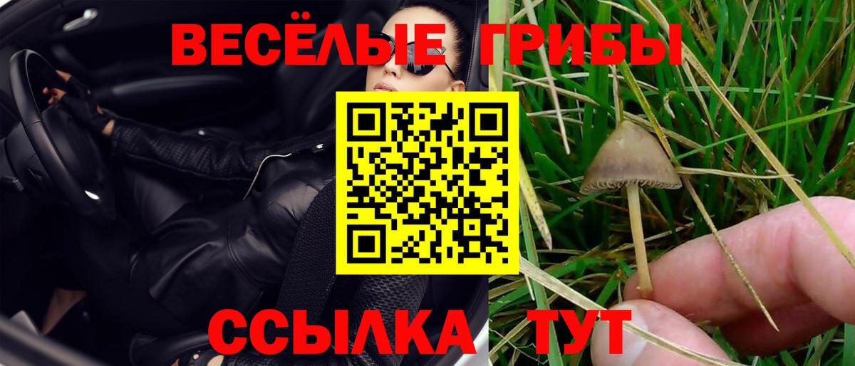 Псилоцибиновые грибы мицелий Королёв